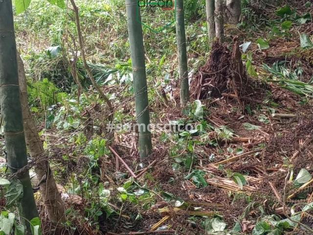 Terreno en venta en Cuetzalan Del Progreso, Puebla