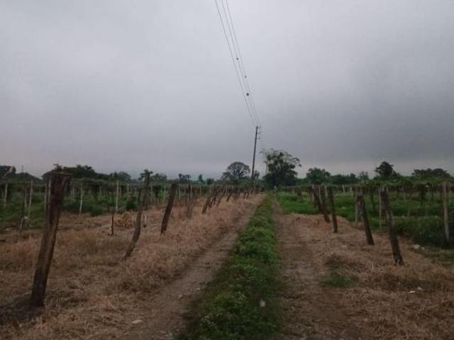 Terreno en venta en Orizaba