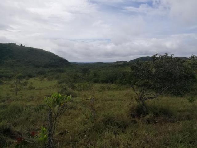 Terreno en venta de 30 hectáreas en coclé, antón para usos diversos