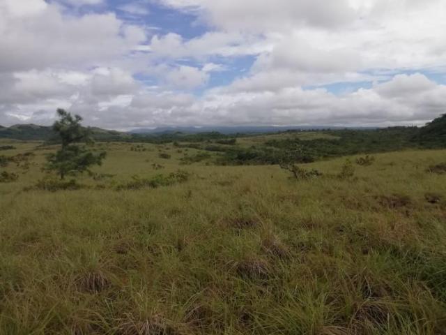 Terreno en venta de 30 hectáreas en coclé, antón para usos diversos