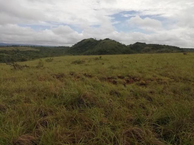Terreno en venta de 30 hectáreas en coclé, antón para usos diversos