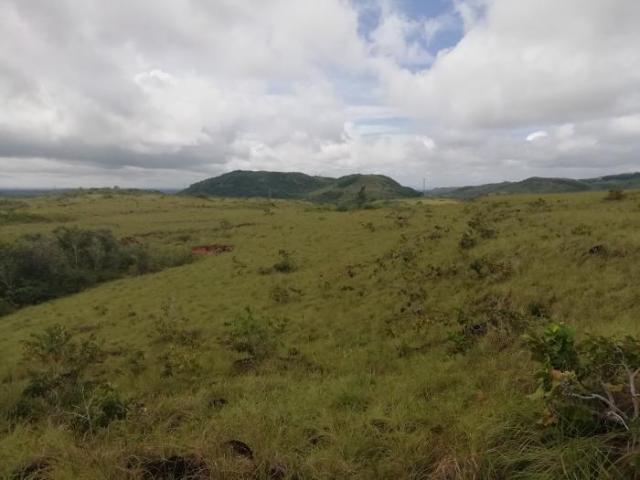 Terreno en venta de 30 hectáreas en coclé, antón para usos diversos