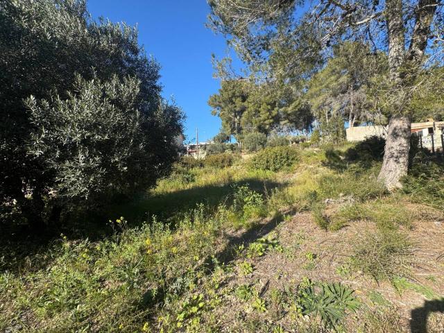 Terreno en venta en El Catllar