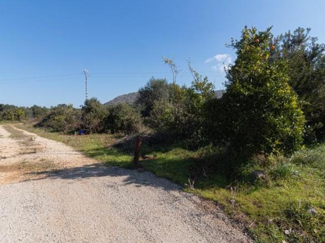 Terreno en venta en Pedreguer