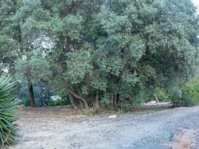 Terreno en venta en Montgó, la Marina Alta