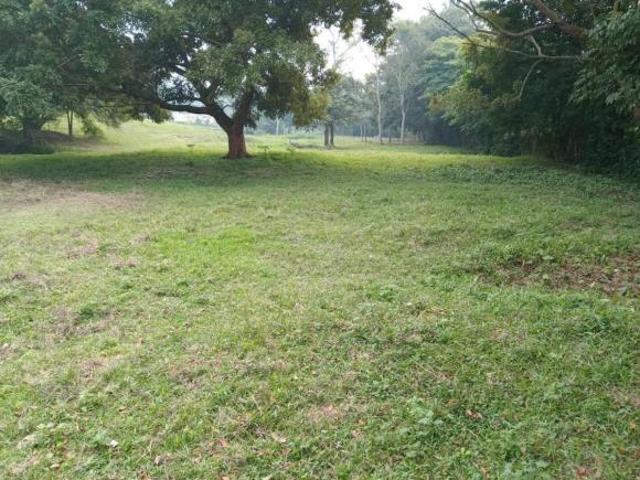 Terreno en venta en La Cruz del Bajío, Centro
