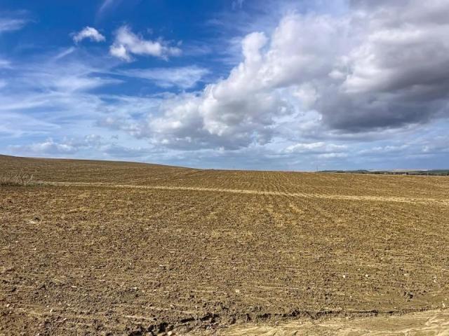 Terreno en venta en Écija, Andalucía