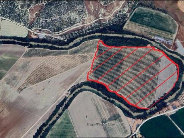 Terreno en venta en Écija, Andalucía