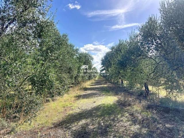 Terreno en venta en Écija, Andalucía