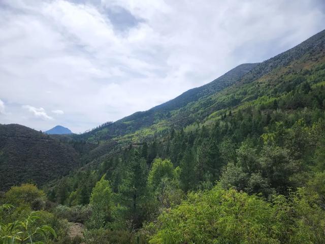 Terreno en venta en Galeana, Nuevo León