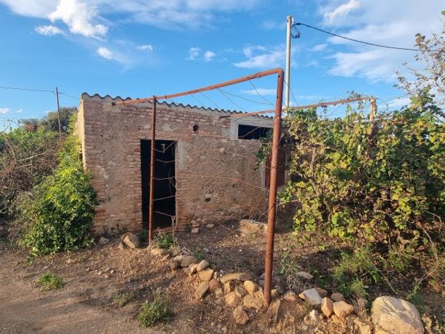 Terreno en venta en Vilallonga Del Camp, Tarragona