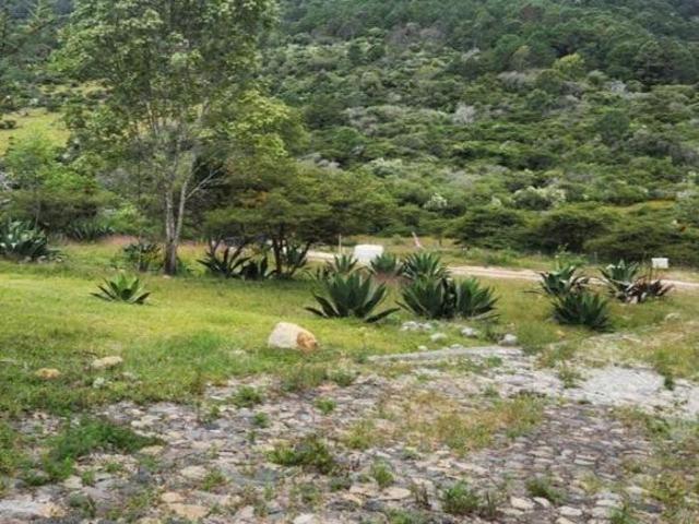 Terreno en Venta El Relicario Campestre Tapalpa Country Club