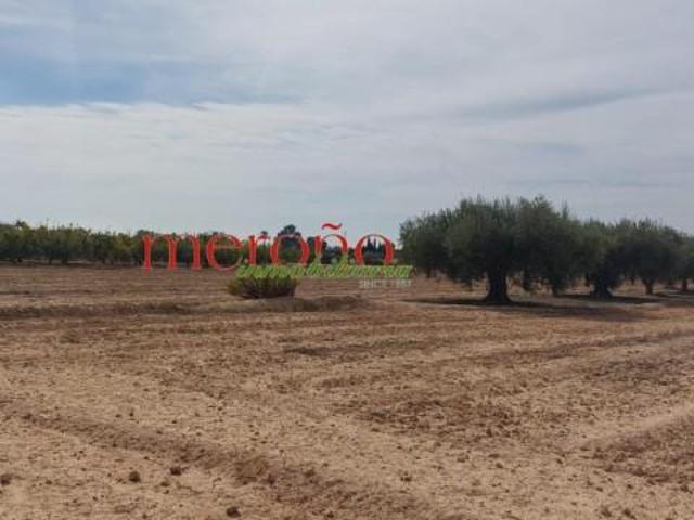 Terreno en venta en Perleta, el Baix Vinalopó