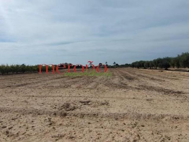 Terreno en venta en Perleta, el Baix Vinalopó