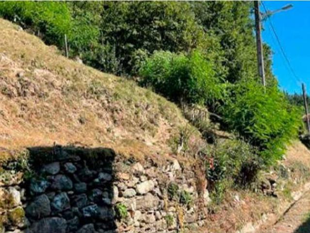 Terreno en venta en Arnois, Tabeirós - Terra de Montes