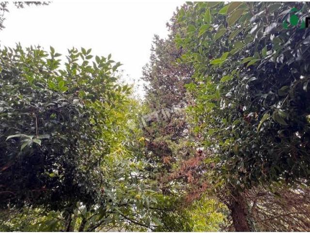 Terreno en venta en Tabeirós - Terra de Montes, Galicia