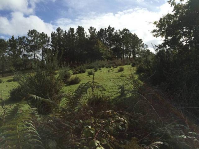Terreno en venta en Matalobos, Tabeirós - Terra de Montes