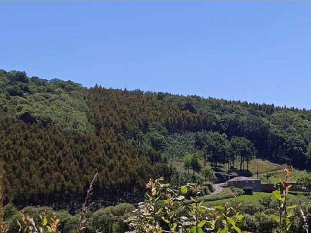 Terreno en venta en A Fonsagrada, Galicia