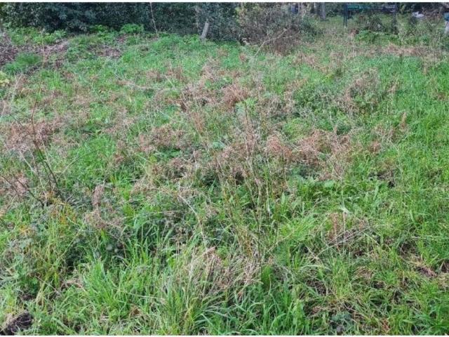 Terreno en venta en O Baixo Miño, Galicia