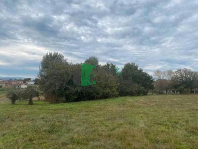 Terreno en venta en Terra da Celanova, Galicia