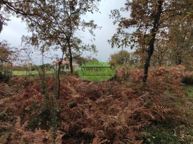 Terreno en venta en Terra da Celanova, Galicia