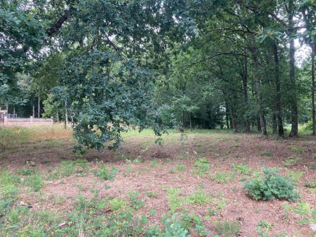 Terreno en venta en Terra da Celanova, Galicia