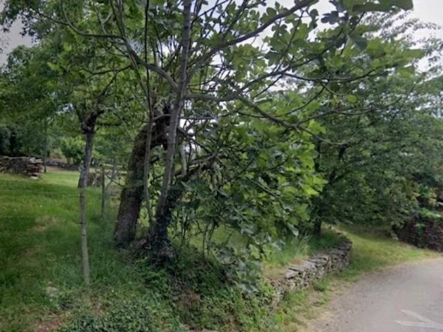 Terreno en venta en Terra de Lemos, Galicia