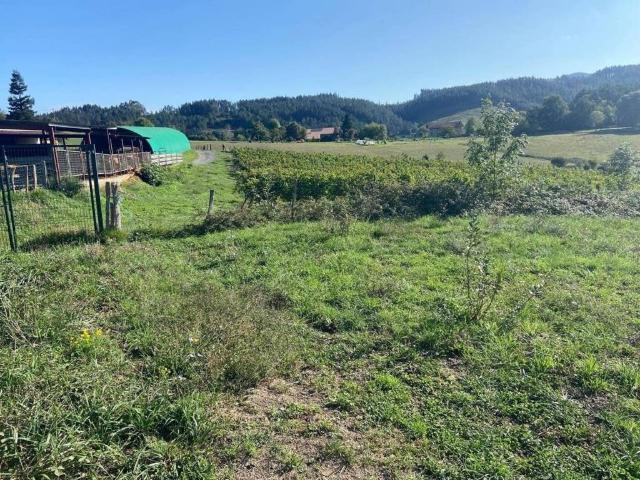 Terreno en venta en Abadiño, Guipúzcoa