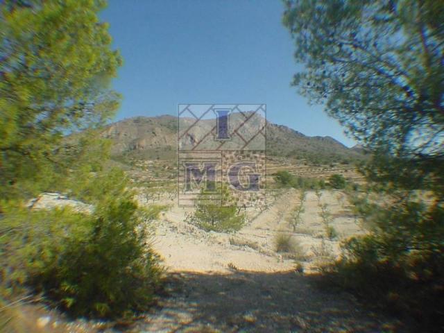 Terreno en venta en Oriental, Murcia