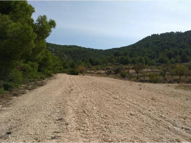 Terreno en venta en Oriental, Murcia
