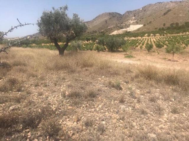 Terreno en venta en Oriental, Murcia