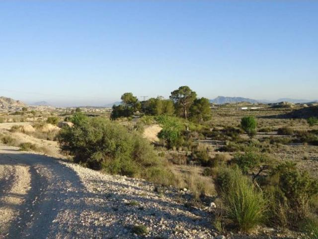 Terreno en venta en Oriental, Murcia