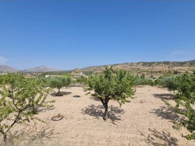 Terreno en venta en Oriental, Murcia