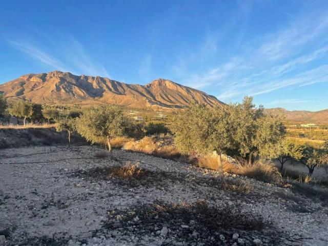 Terreno en venta en Oriental, Murcia