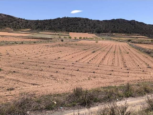Terreno en venta en Oriental, Murcia