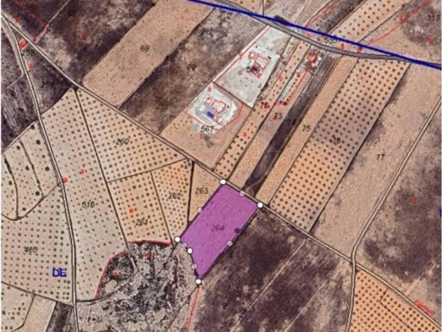 Terreno en venta en Oriental, Murcia