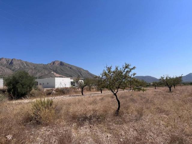 Terreno en venta en Oriental, Murcia