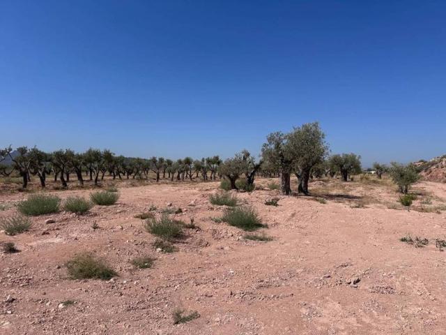 Terreno en venta en Oriental, Murcia