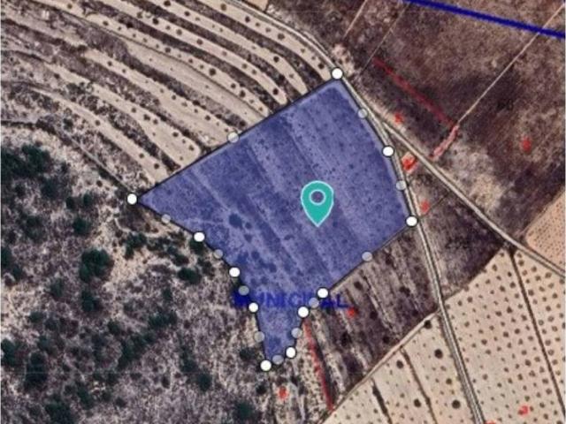 Terreno en venta en Oriental, Murcia