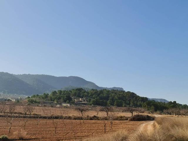 Terreno en venta en Oriental, Murcia