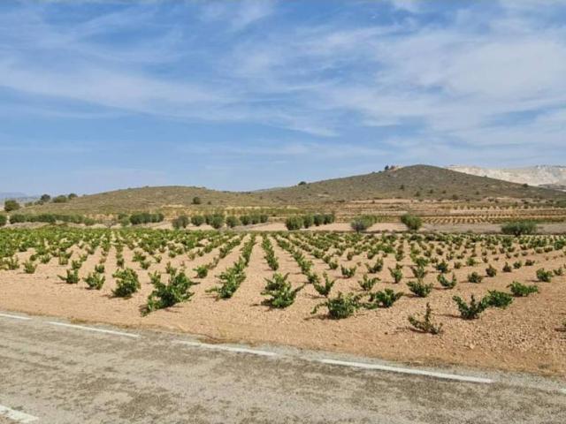 Terreno en venta en Oriental, Murcia