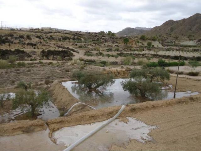 Terreno en venta en Oriental, Murcia