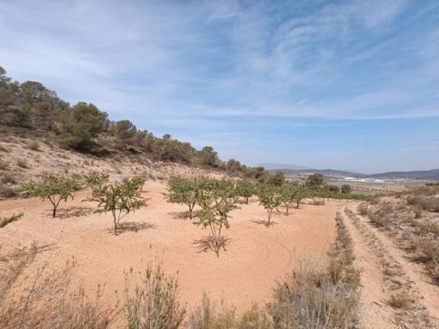 Terreno en venta en Oriental, Murcia