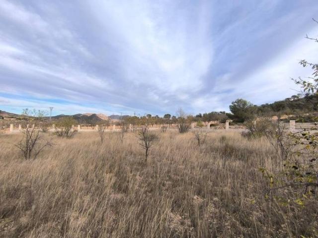 Terreno en venta en Oriental, Murcia