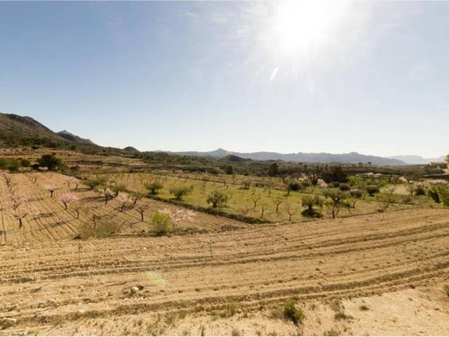 Terreno en venta en Barinas, Oriental