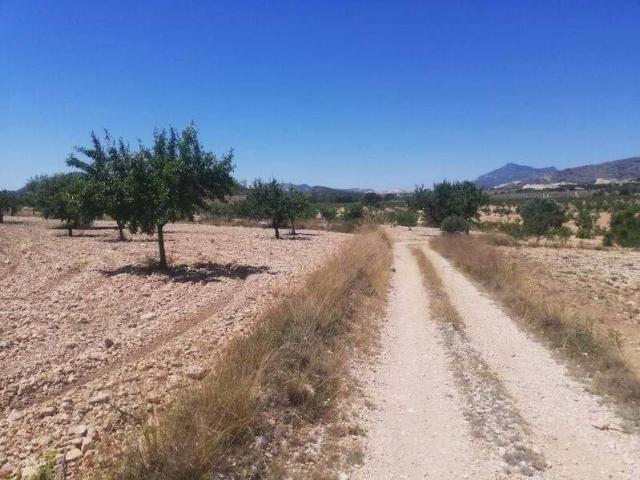 Terreno en venta en Oriental, Murcia