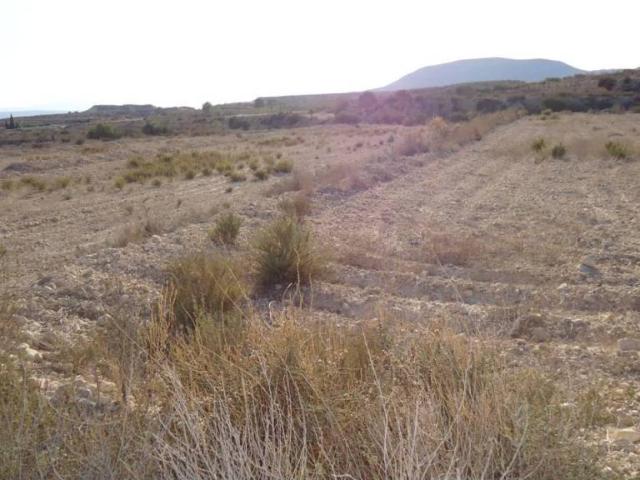 Terreno en venta en Oriental, Murcia