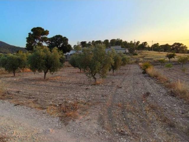 Terreno en venta en Oriental, Murcia