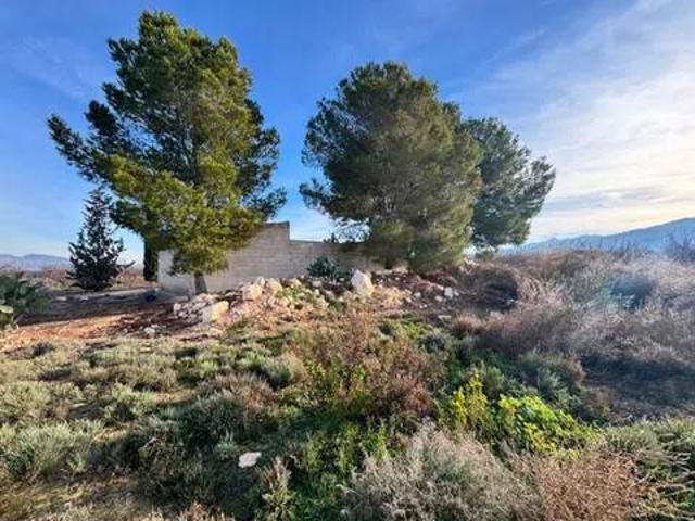 Terreno en venta en Vega Alta del Segura, Murcia