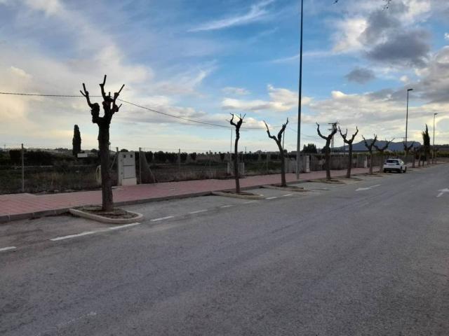 Terreno en venta en Vega Alta del Segura, Murcia